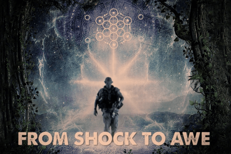 from shock to awe psychedelic documentary